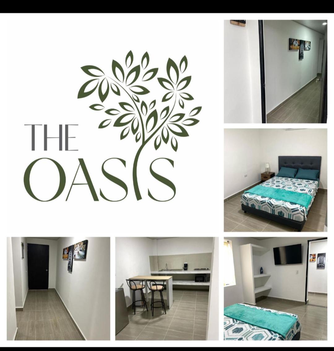 דירות קאלי The Oasis Buro מראה חיצוני תמונה